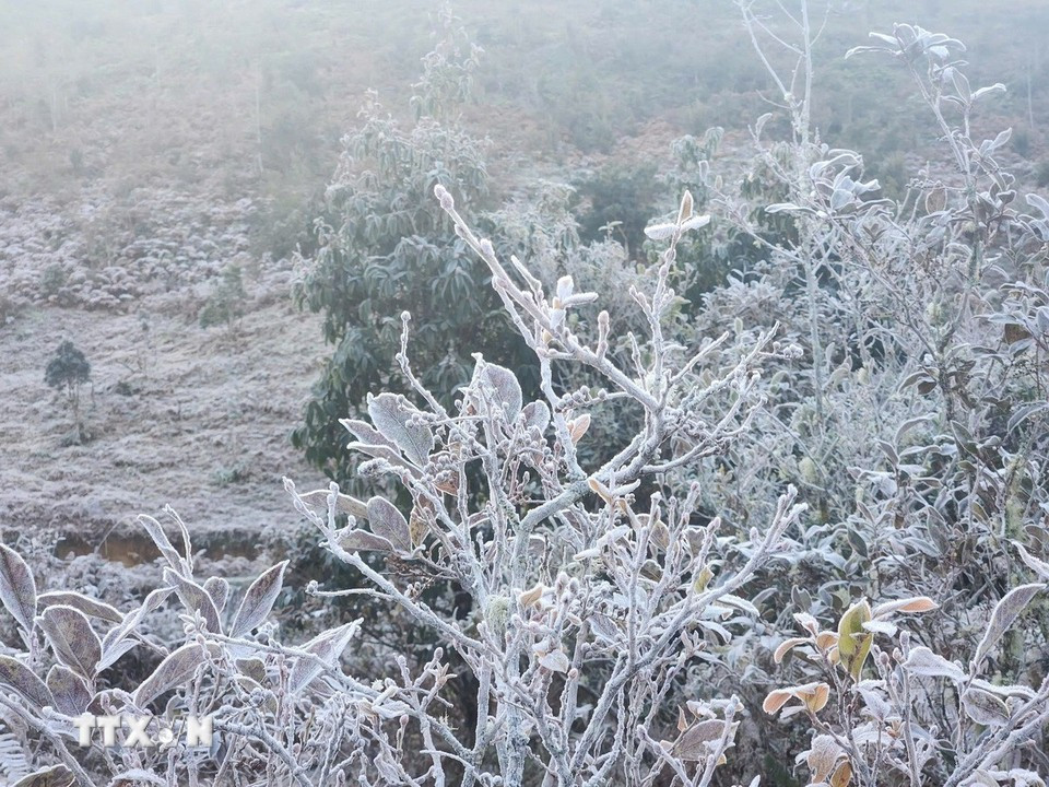 Băng giá xuất hiện lần hai ở Y Tý, cảnh sắc mờ ảo hút khách