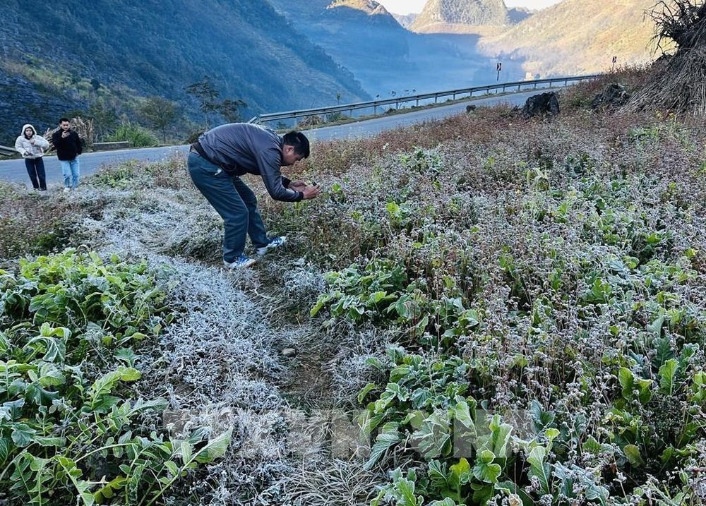 Băng giá xuất hiện lần hai ở Y Tý, cảnh sắc mờ ảo hút khách