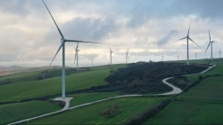 Ngành công nghiệp điện gió phản đối các biện pháp khẩn cấp về năng lượng của EU