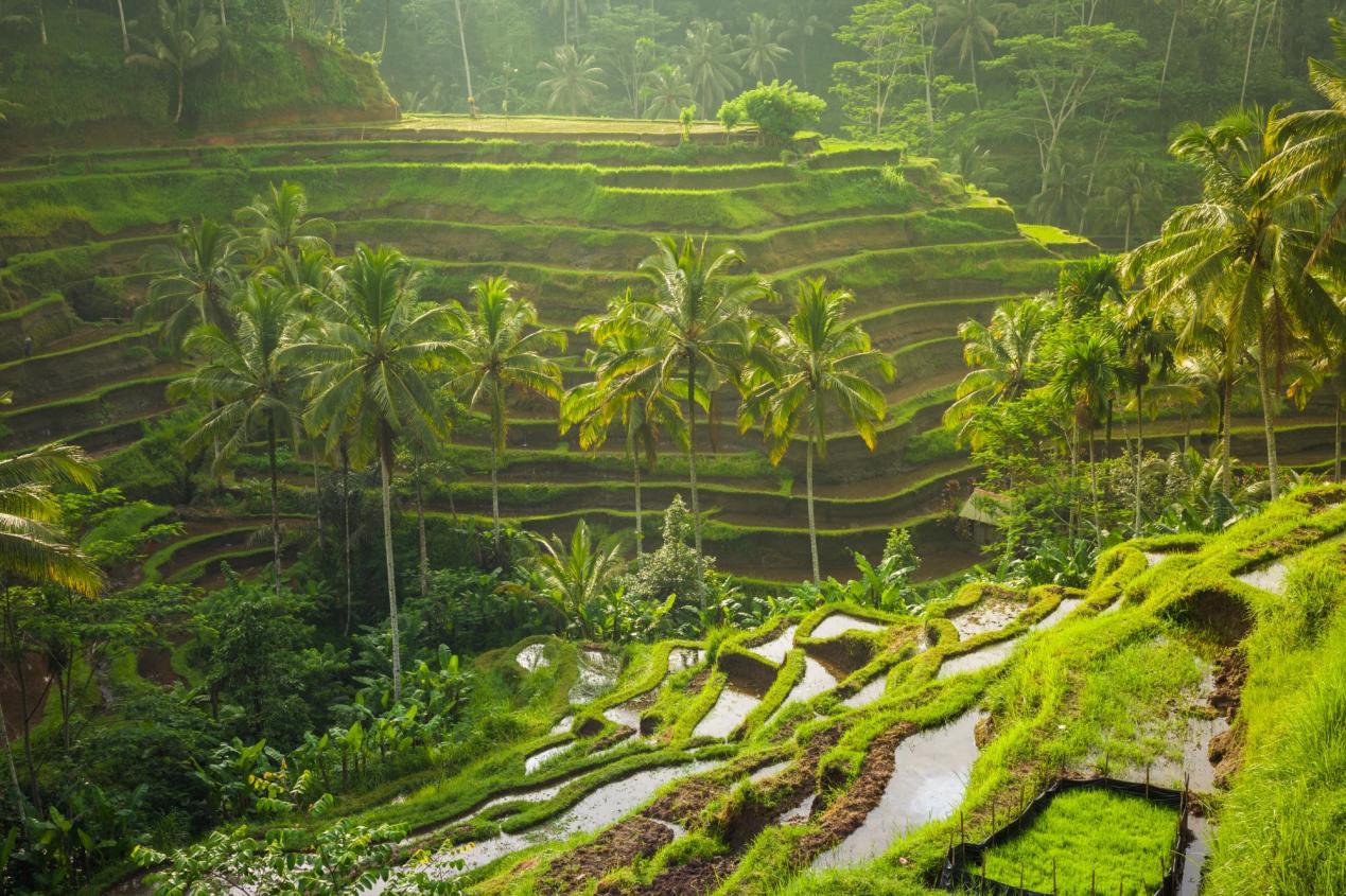 Bali - Thiên đường du lịch mang đậm bản sắc văn hóa Hindu