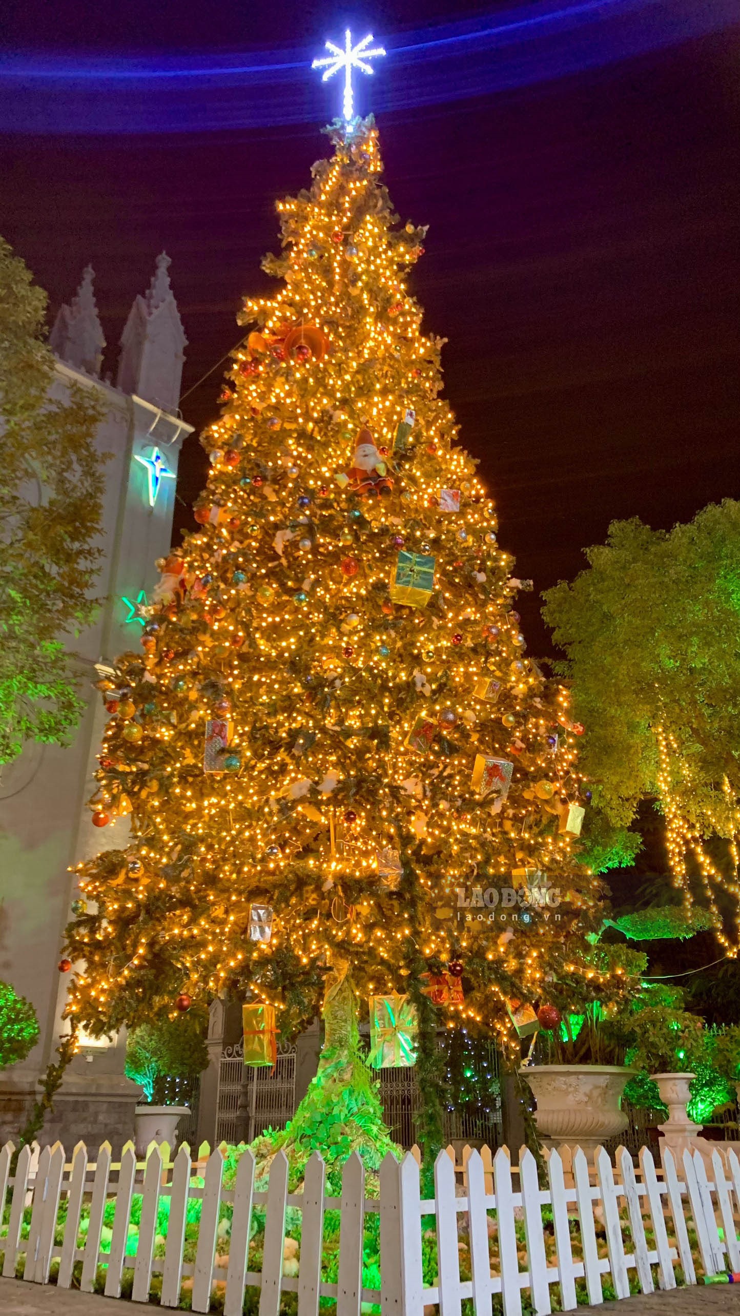Hàng loạt cây thông "khủng" ở Hải Phòng lên đèn đón giáng sinh