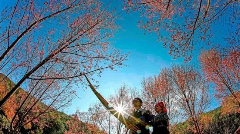 Sắp diễn ra Festival khèn Mông, Lễ hội hoa Tớ dày tại Yên Bái