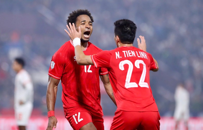 DT Viet Nam co so lieu khung truoc ban ket luot ve AFF Cup-Hinh-2