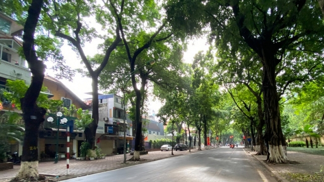 Dự báo thời tiết đêm nay và ngày mai 2/12: Hà Nội và các khu vực trên cả nước