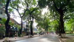 Dự báo thời tiết đêm nay và ngày mai 2/12: Hà Nội và các khu vực trên cả nước