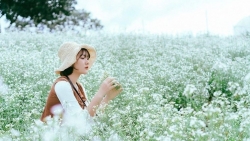 Tháng 12 này đi đâu? Những trải nghiệm du lịch không thể bỏ qua