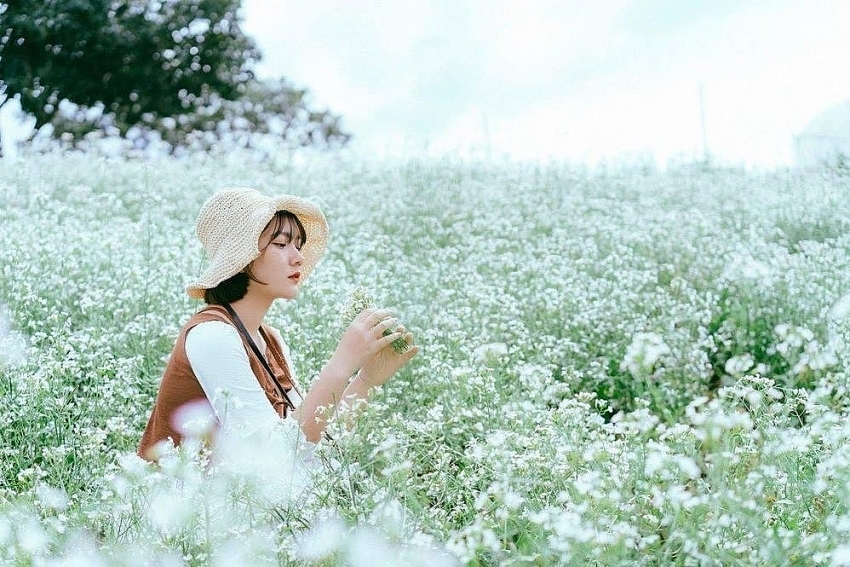 Tháng 12 này đi đâu? Những trải nghiệm du lịch không thể bỏ qua