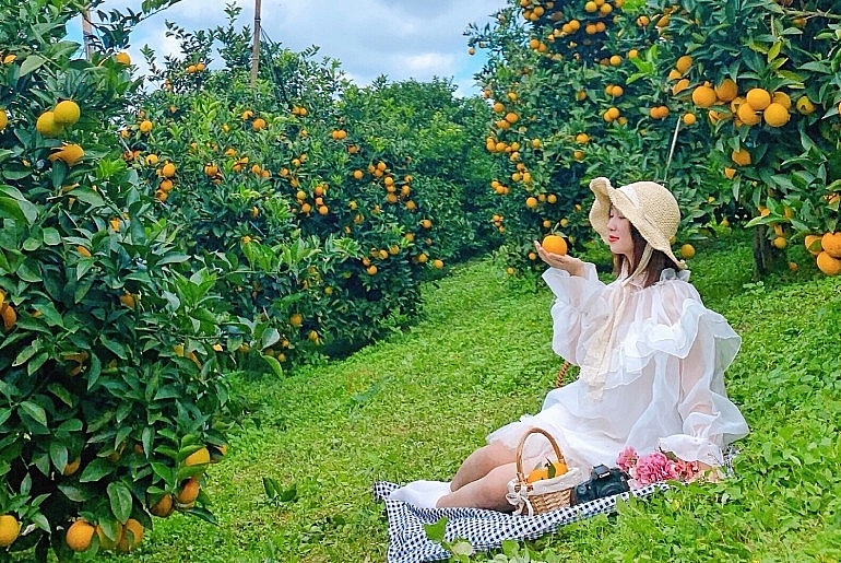 Tháng 12 này đi đâu? Những trải nghiệm du lịch không thể bỏ qua