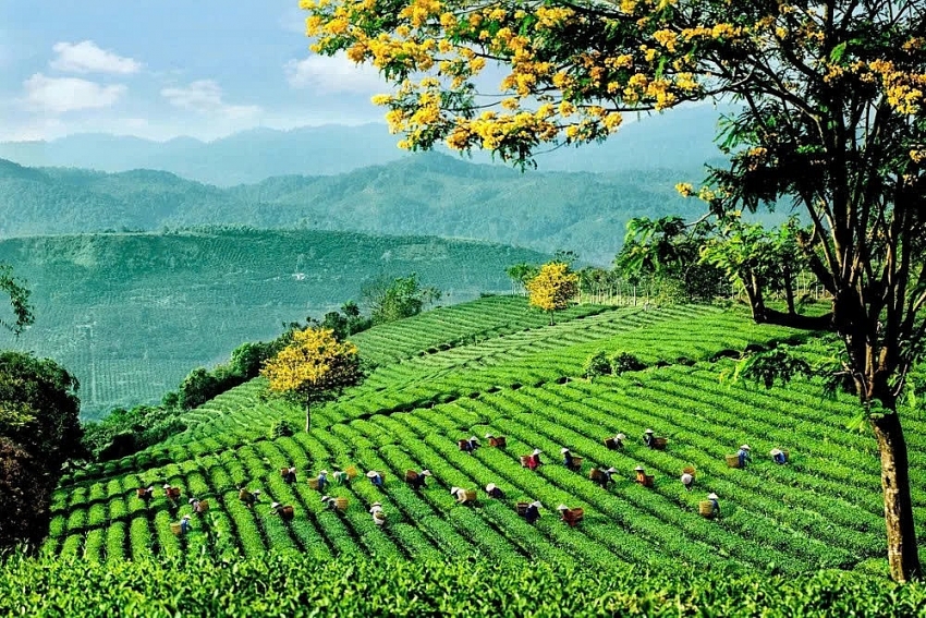 Tháng 12 này đi đâu? Những trải nghiệm du lịch không thể bỏ qua