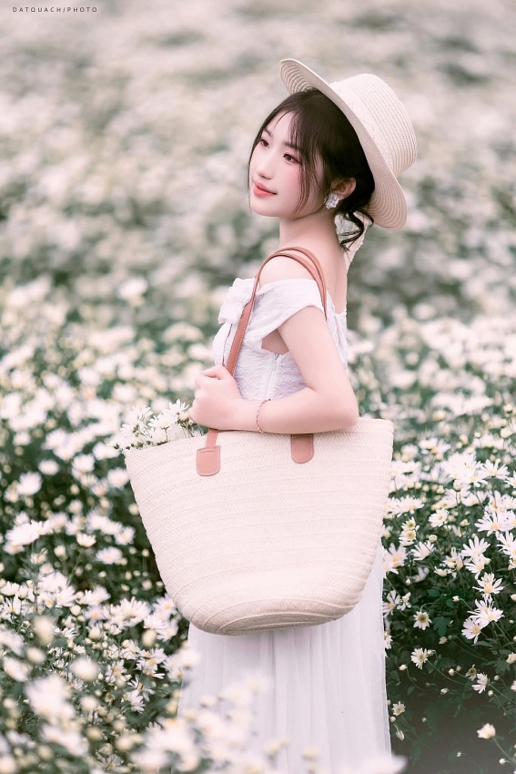 Mộc Châu khoác sắc trắng cúc họa mi, hút khách mê chụp ảnh