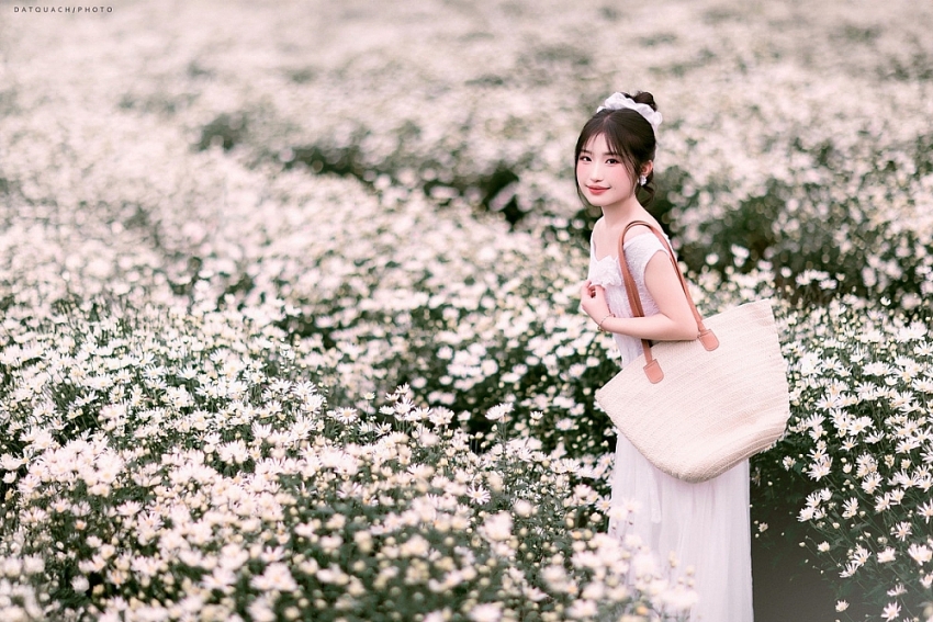 Mộc Châu khoác sắc trắng cúc họa mi, hút khách mê chụp ảnh