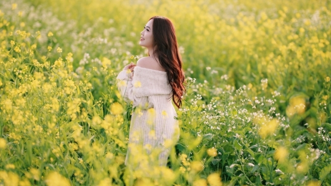 Mộc Châu rực sắc cải vàng, hút khách đầu đông