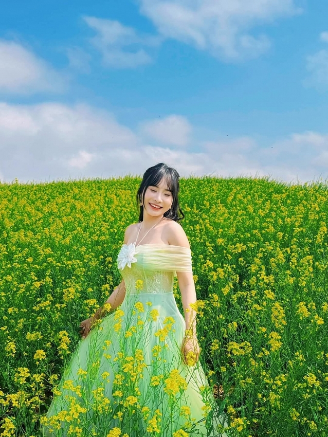 Mộc Châu rực sắc cải vàng, hút khách đầu đông