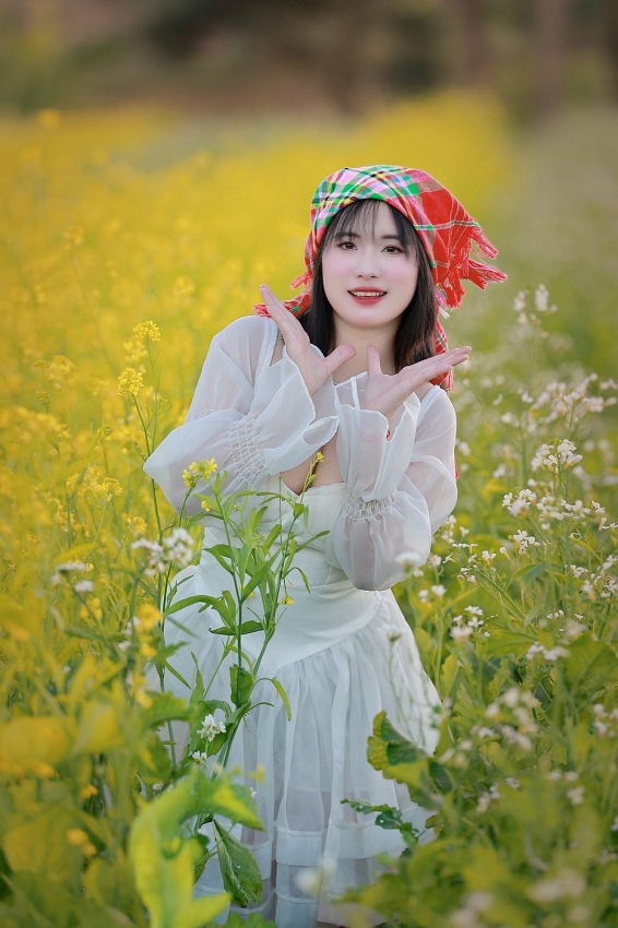 Mộc Châu rực sắc cải vàng, hút khách đầu đông