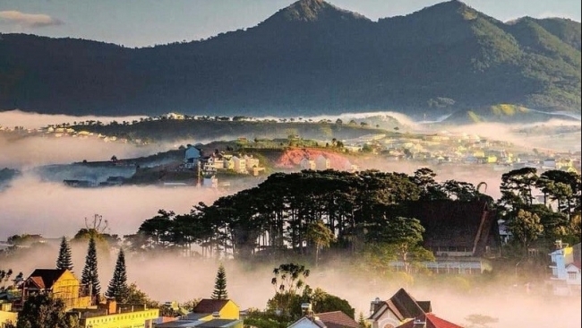 Đà Lạt dẫn đầu xu hướng khám phá Việt Nam 2025