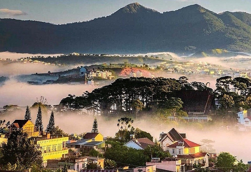 Đà Lạt dẫn đầu xu hướng khám phá Việt Nam 2025 Đà Lạt dẫn đầu xu hướng khám phá Việt Nam 2025