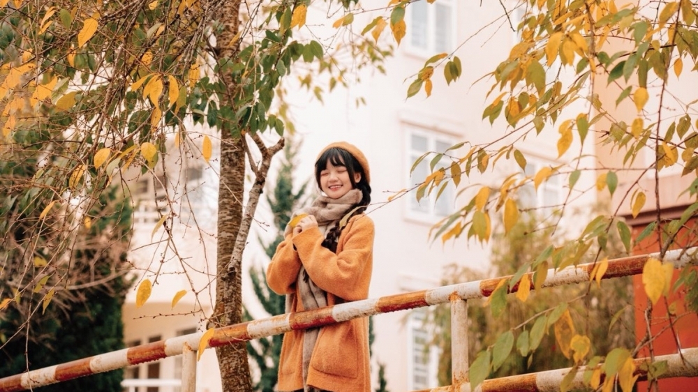 Ghé Đà Lạt mùa cây thay lá, ngắm sắc vàng đỏ phủ khắp phố núi