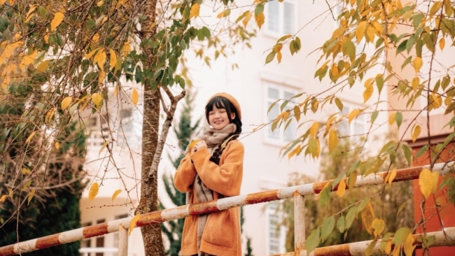 Ghé Đà Lạt mùa cây thay lá, ngắm sắc vàng đỏ phủ khắp phố núi