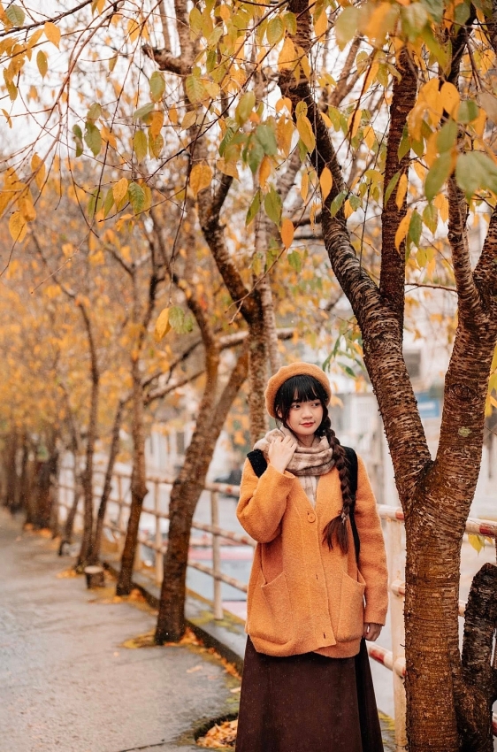 Ghé Đà Lạt mùa cây thay lá, ngắm sắc vàng đỏ phủ khắp phố núi