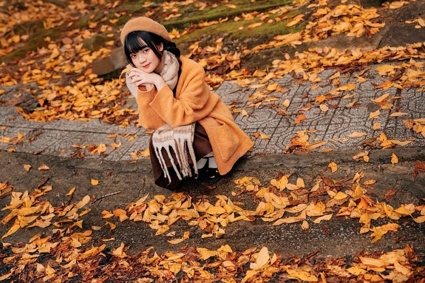 Ghé Đà Lạt mùa cây thay lá, ngắm sắc vàng đỏ phủ khắp phố núi