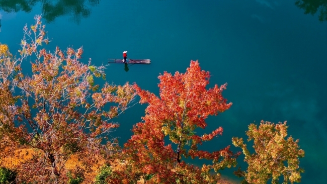 Đông về, ghé hồ Bản Viết ngắm mùa lá đổi màu