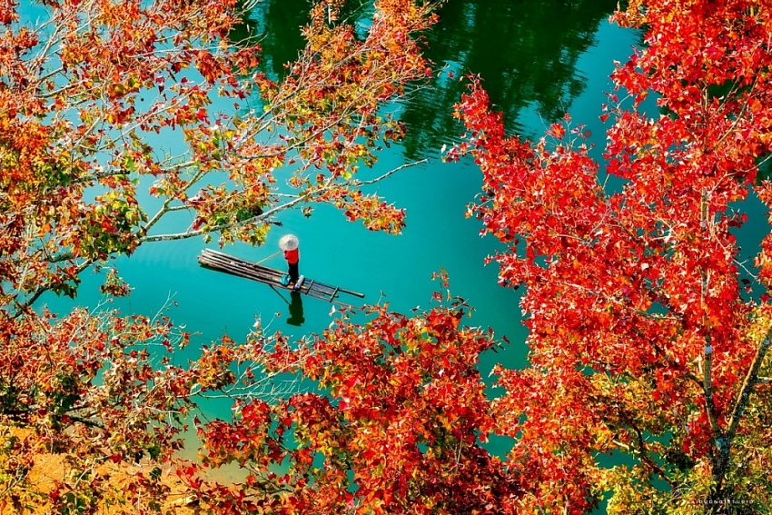 Đông về, ghé hồ Bản Viết ngắm mùa lá đổi màu