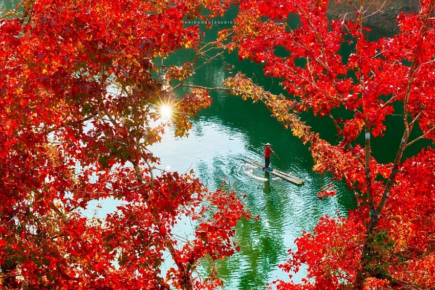 Đông về, ghé hồ Bản Viết ngắm mùa lá đổi màu