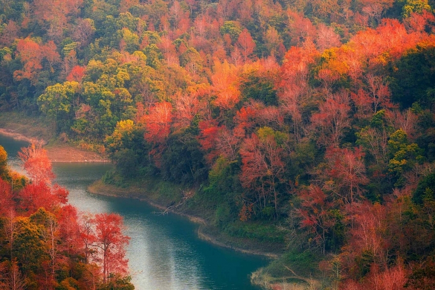 Đông về, ghé hồ Bản Viết ngắm mùa lá đổi màu