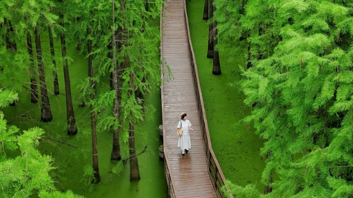 Hồ Thanh Sơn góc xanh bình yên khiến du khách say lòng ở Hàng Châu