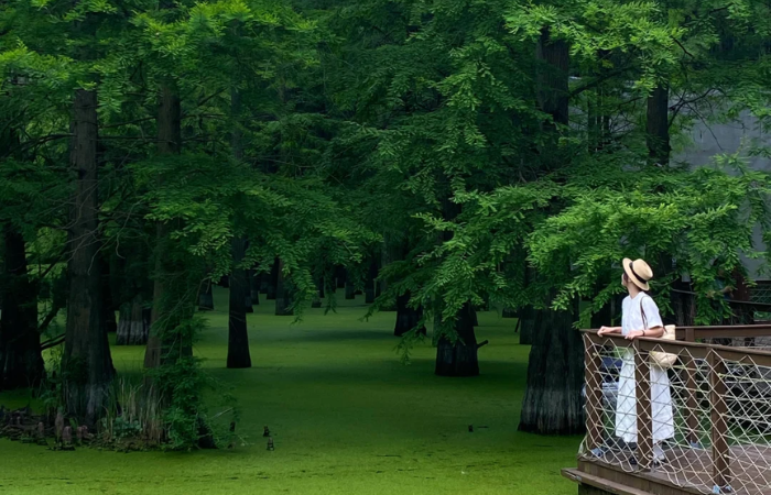 Hồ Thanh Sơn góc xanh bình yên khiến du khách say lòng ở Hàng Châu