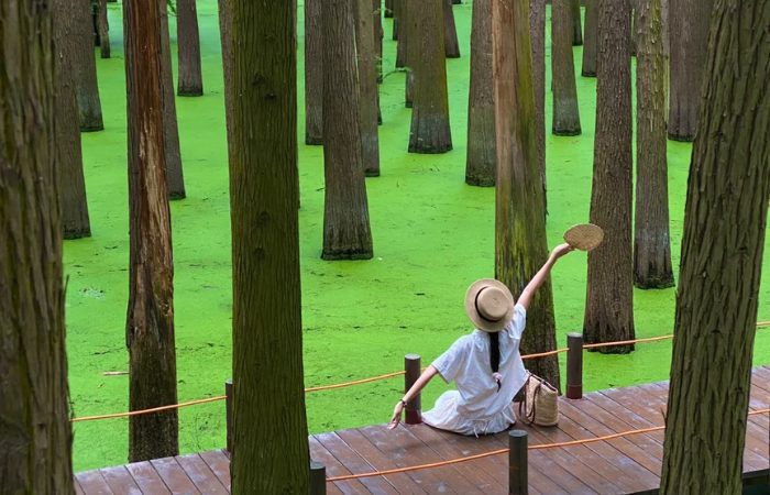 Hồ Thanh Sơn góc xanh bình yên khiến du khách say lòng ở Hàng Châu