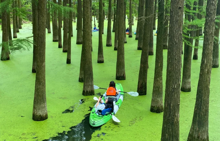 Hồ Thanh Sơn góc xanh bình yên khiến du khách say lòng ở Hàng Châu
