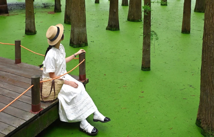 Hồ Thanh Sơn góc xanh bình yên khiến du khách say lòng ở Hàng Châu