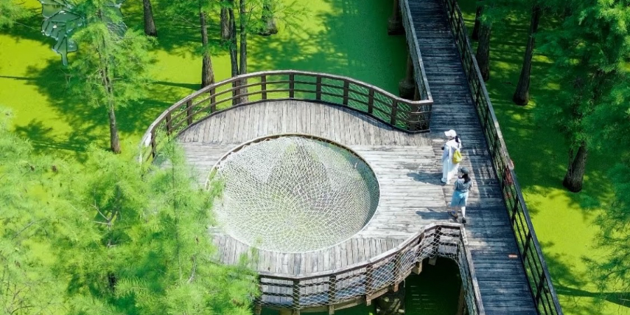 Hồ Thanh Sơn góc xanh bình yên khiến du khách say lòng ở Hàng Châu