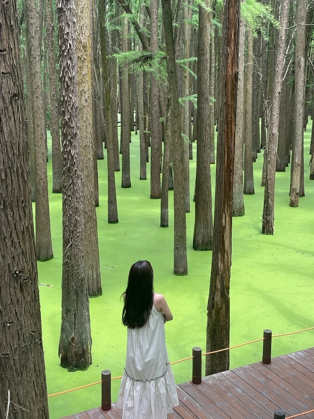 Hồ Thanh Sơn góc xanh bình yên khiến du khách say lòng ở Hàng Châu