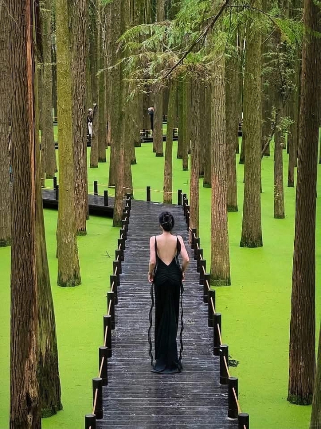 Hồ Thanh Sơn góc xanh bình yên khiến du khách say lòng ở Hàng Châu