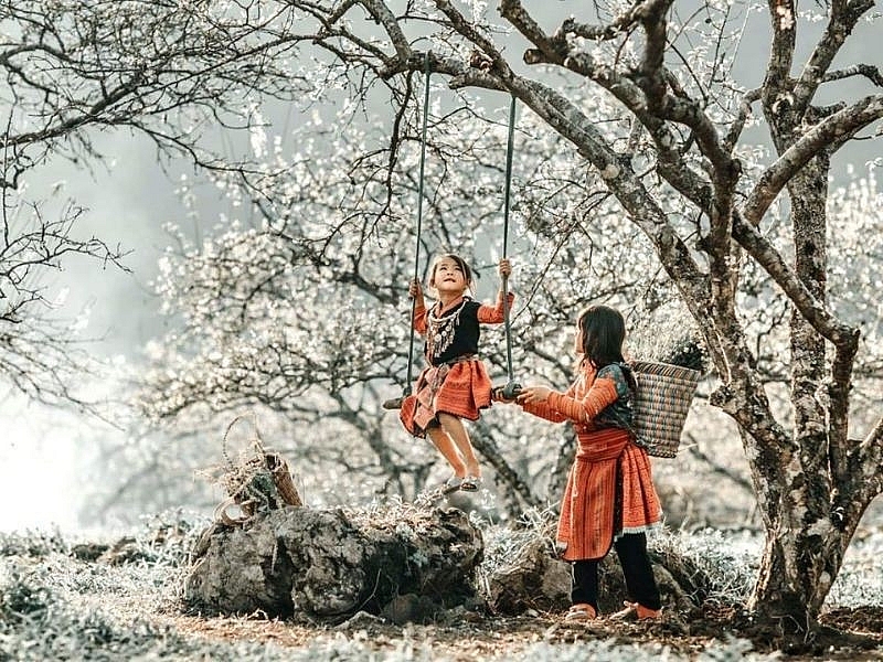 Thời điểm 'vàng' du lịch Việt Nam tránh đông, trúng mùa đẹp