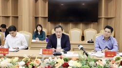 THACO sẽ đầu tư vào Hưng Yên dự án trồng lúa theo mô hình cánh đồng mẫu lớn