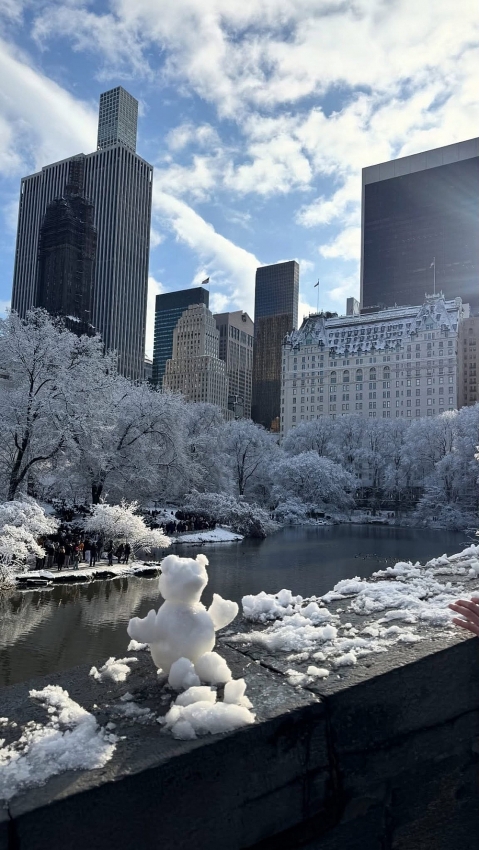 New York mùa đông trở thành điểm đến lý tưởng cho người thích săn tuyết