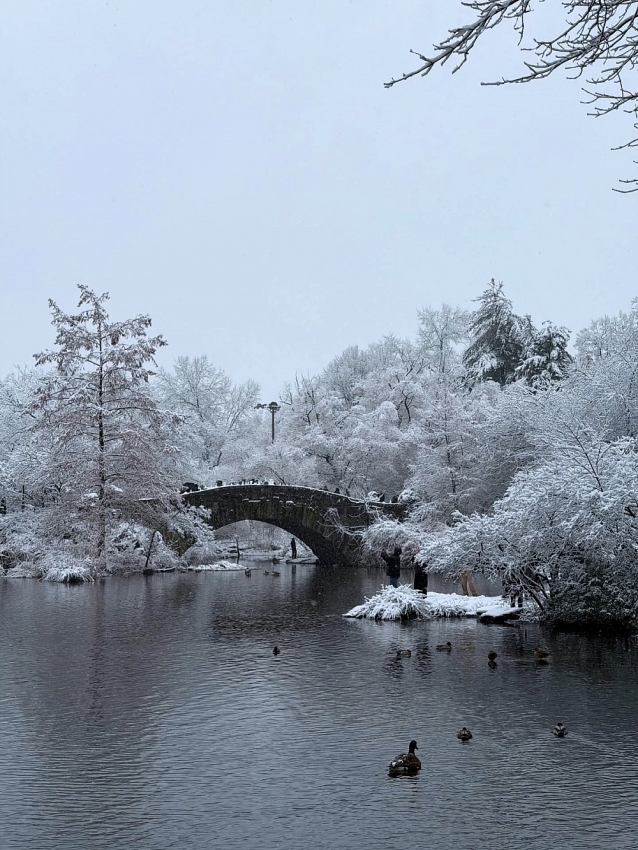 New York mùa đông trở thành điểm đến lý tưởng cho người thích săn tuyết