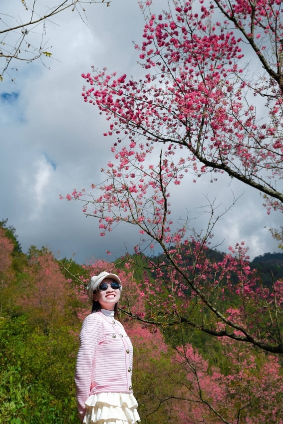 Hoa tớ dày nở rộ, Mí Háng gọi mời du khách