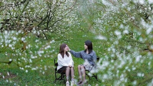 Du lịch Mộc Châu mùa đông những điểm đến không thể bỏ lỡ