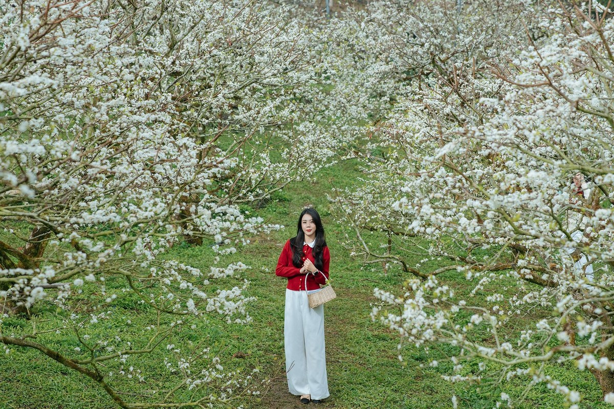 Tết Dương lịch nghỉ 4 ngày, chọn điểm du lịch nào cho chuyến đi đầu năm?