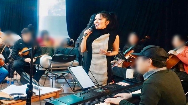 Diva Hồng Nhung nói gì về lùm xùm show Về đây bốn cánh chim trời?