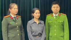 Khởi tố giám đốc công ty tổ chức show “Về đây bốn cánh chim trời”