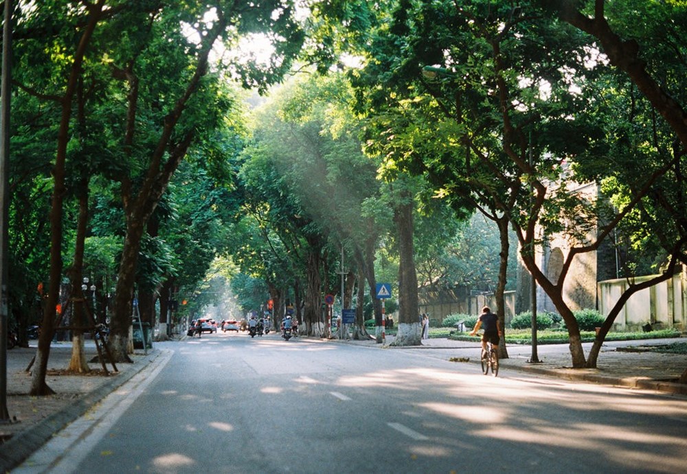 Dự báo thời tiết đêm nay và ngày mai 01/1/2026: Hà Nội và các khu vực trên cả nước Dự báo thời tiết đêm nay và ngày mai 01/1/2026: Hà Nội và các khu vực trên cả nước