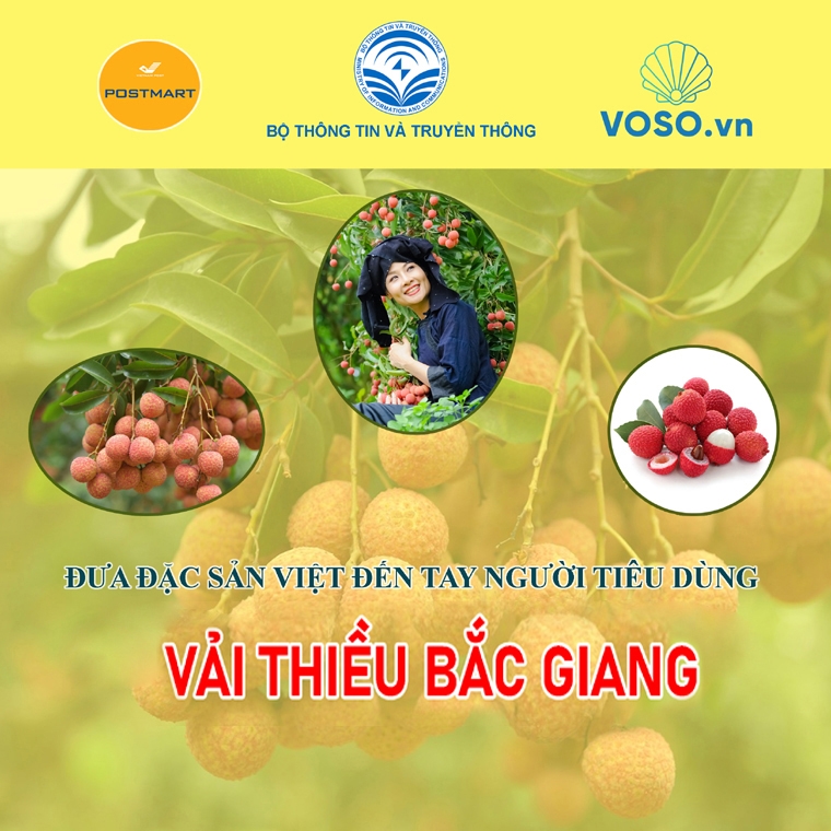 Chương trình “Đưa đặc sản Việt đến tay người tiêu dùng - Vải thiều Bắc Giang”
