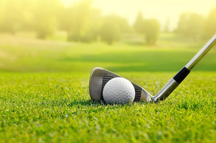 Vì sao các đại gia, người nổi tiếng thường thích chơi golf, chơi trò này có lợi ích gì cho sức khoẻ?
