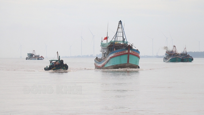 Bến Tre: Ngư dân tỉnh ra khơi ngày đầu năm mới