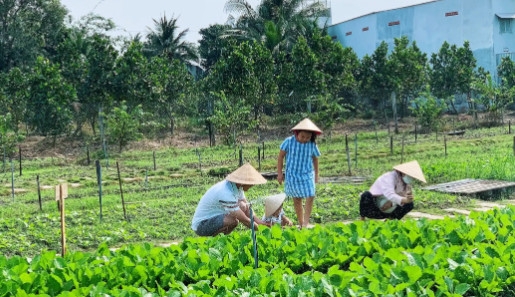 Cần Thơ: Phát triển du lịch nông nghiệp gắn với làng nghề